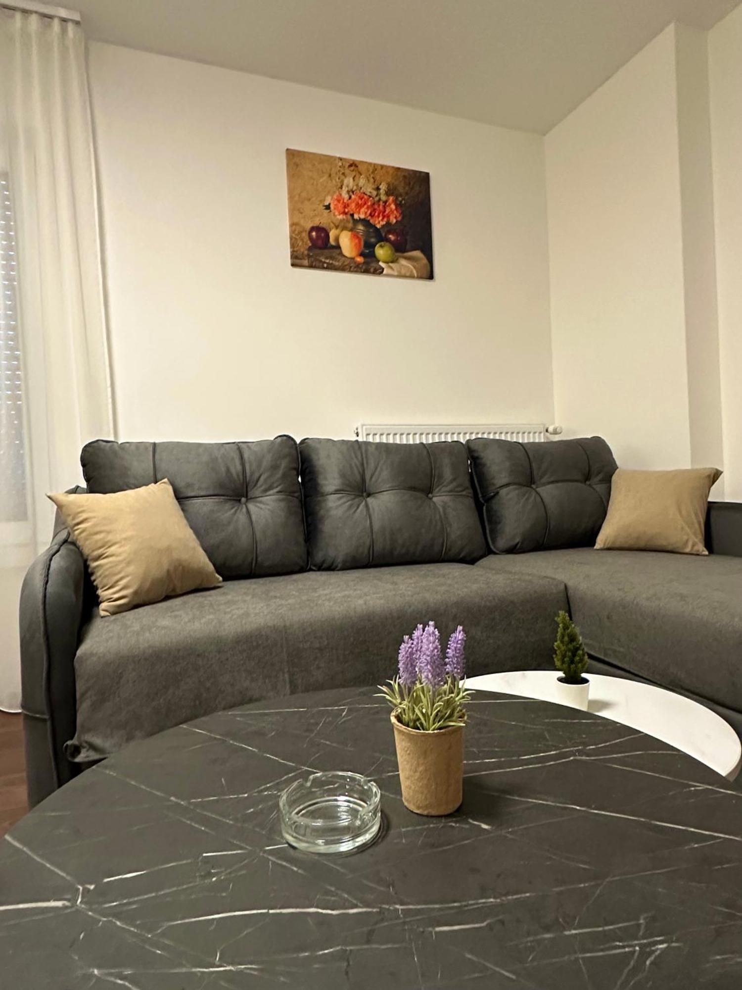 Vila Drina Apartments Banja Koviljača Kültér fotó