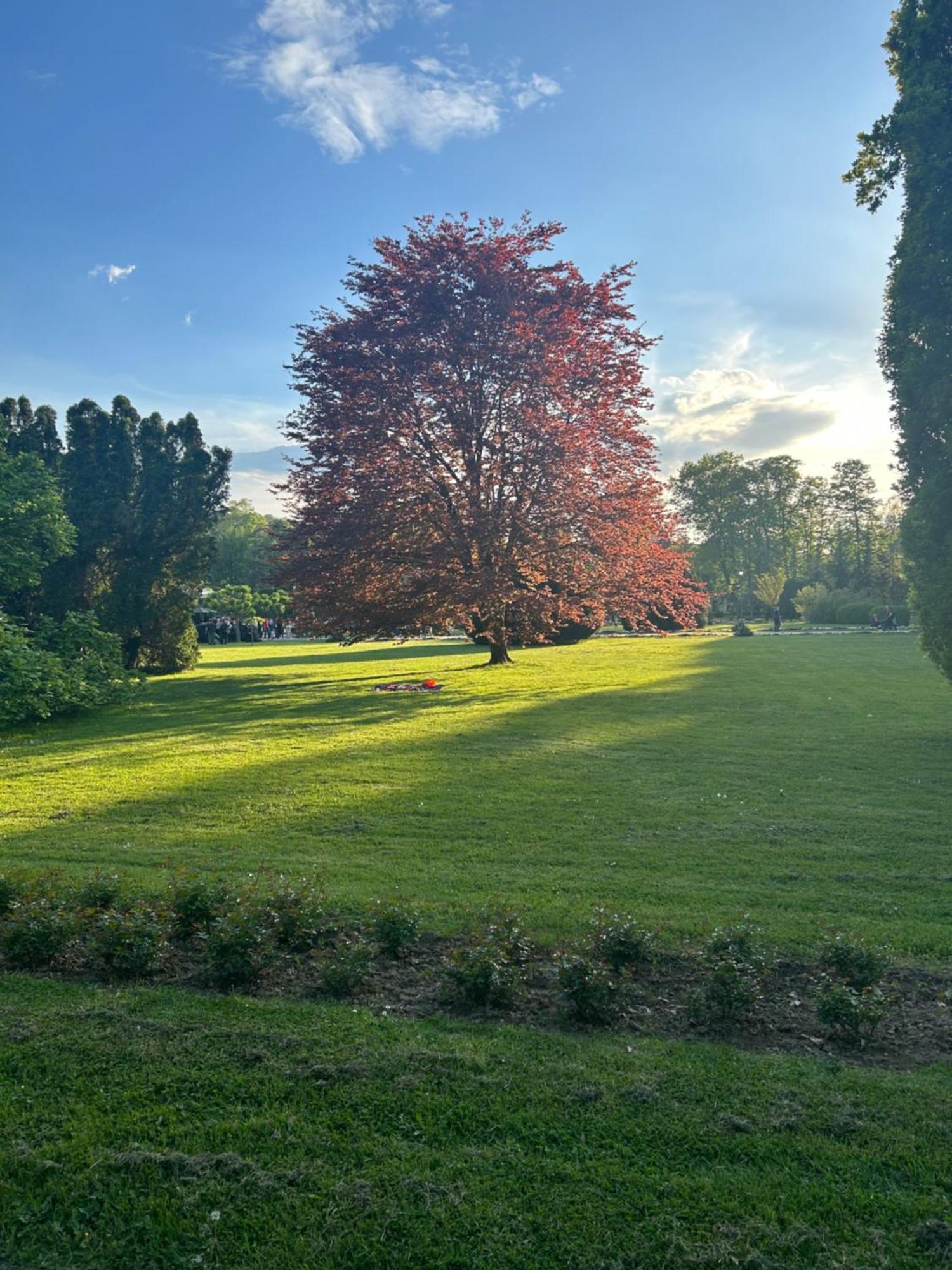 Vila Drina Apartments Banja Koviljača Kültér fotó